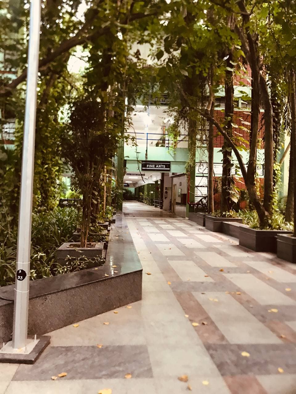 The path