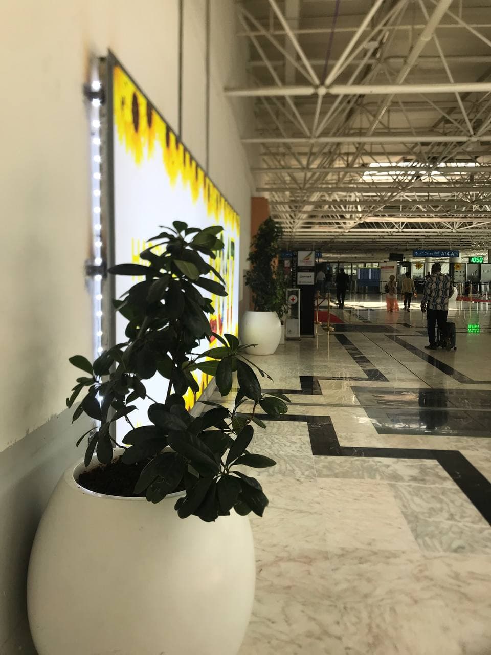 Terminal